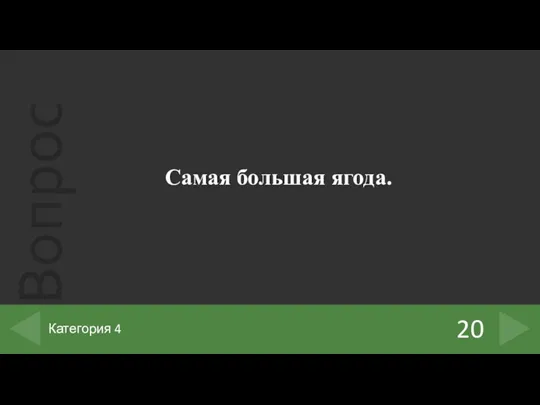 Самая большая ягода. 20 Категория 4