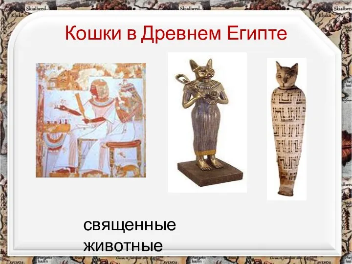 Кошки в Древнем Египте священные животные