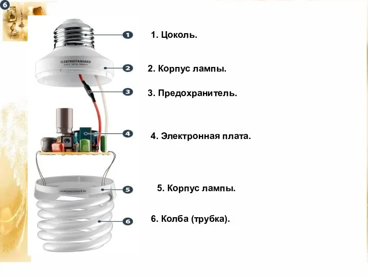 1. Цоколь. 2. Корпус лампы. 3. Предохранитель. 4. Электронная плата. 5. Корпус лампы. 6. Колба (трубка).