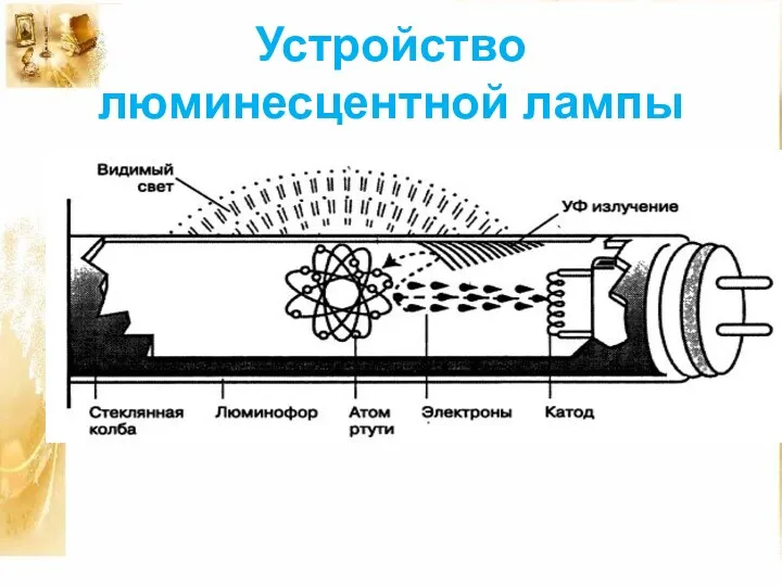 Устройство люминесцентной лампы