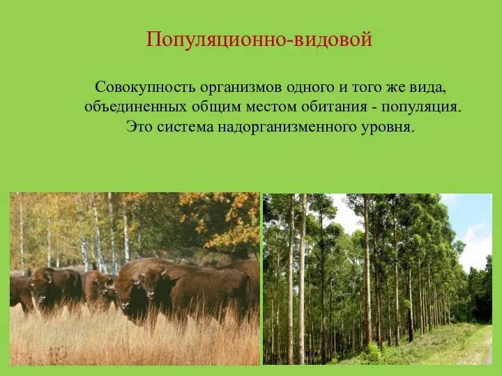 Популяционно-видовой Совокупность организмов одного и того же вида, объединенных общим