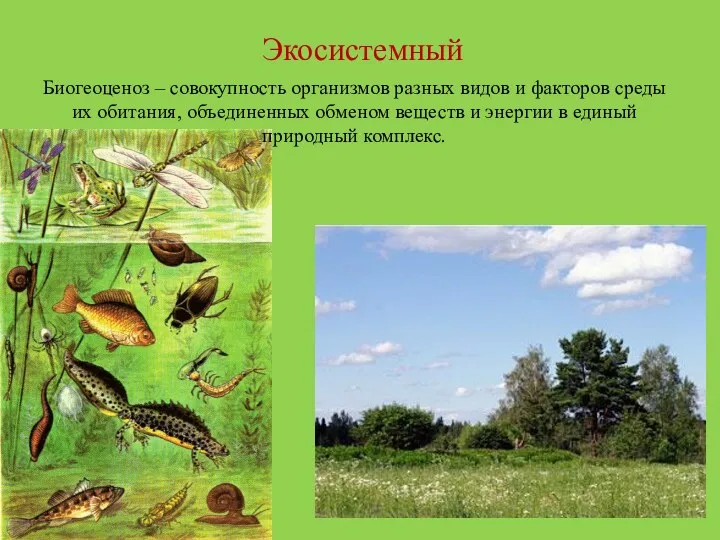 Экосистемный Биогеоценоз – совокупность организмов разных видов и факторов среды
