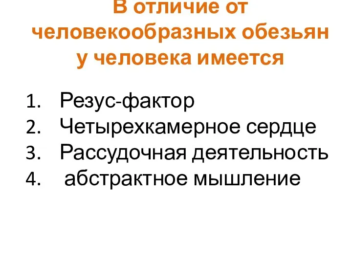 В отличие от человекообразных обезьян у человека имеется Резус-фактор Четырехкамерное сердце Рассудочная деятельность абстрактное мышление