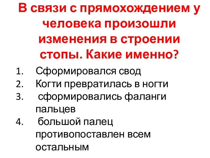 В связи с прямохождением у человека произошли изменения в строении