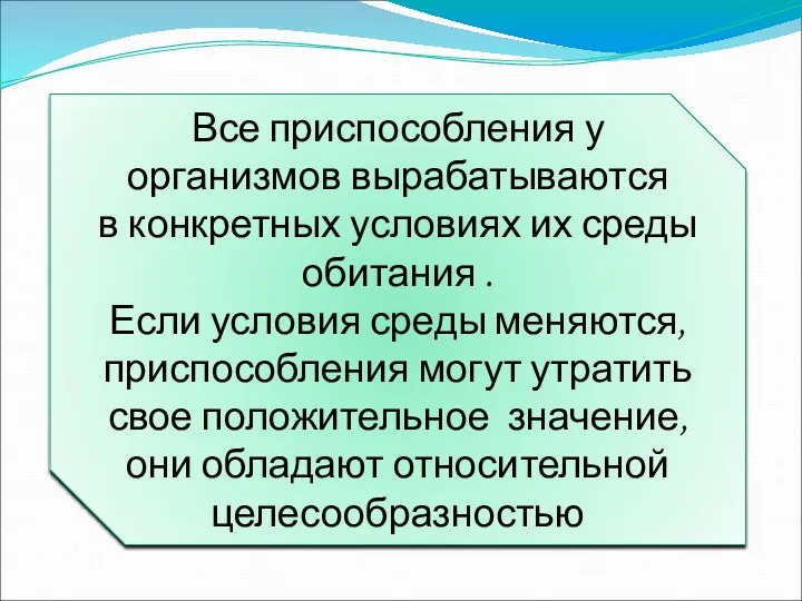 Все приспособления у организмов вырабатываются в конкретных условиях их среды