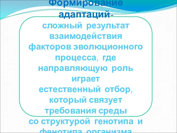 Формирование адаптаций- сложный результат взаимодействия факторов эволюционного процесса, где направляющую