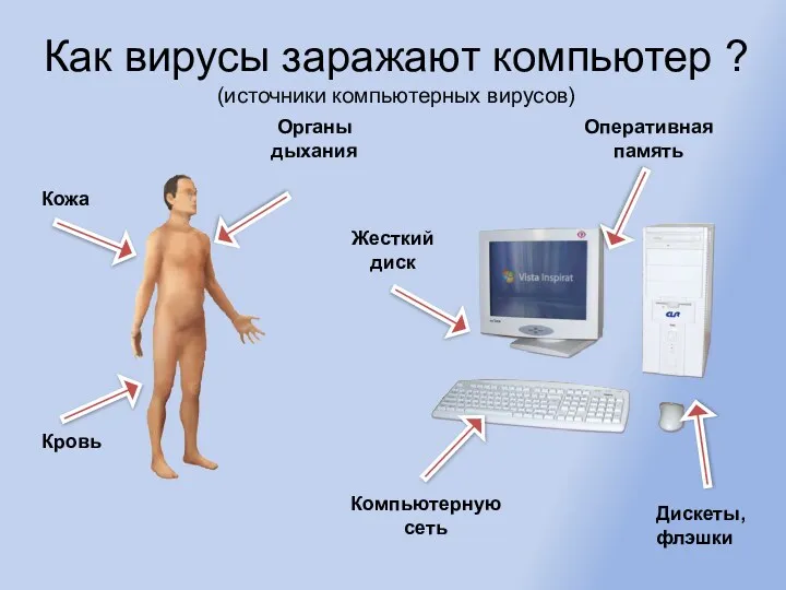 Как вирусы заражают компьютер ? (источники компьютерных вирусов) Дискеты, флэшки