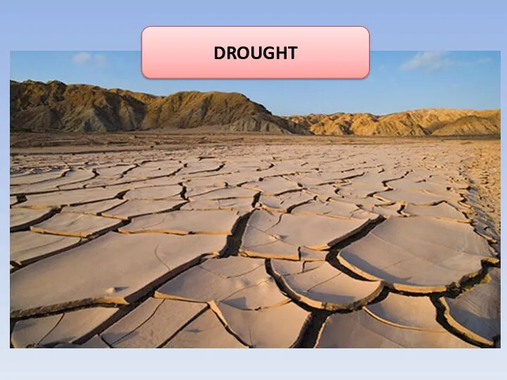 DROUGHT