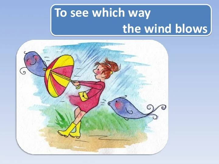 To see which way the wind blows