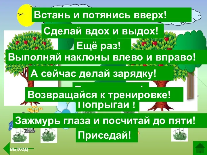 А сейчас делай зарядку! Встань и потянись вверх! Выполняй наклоны