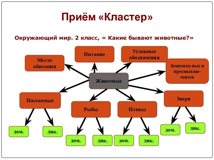 Приём «Кластер» Животные Звери Птицы Рыбы Насекомые Питание Место обитания Условные обозначения дом.