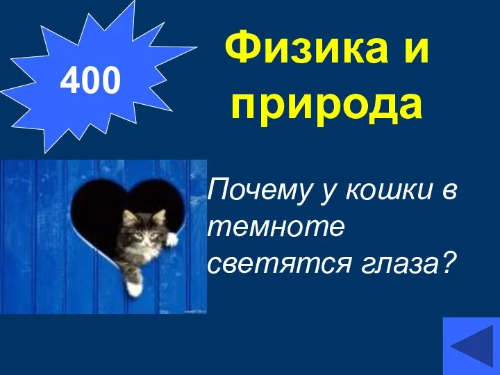 Физика и природа Почему у кошки в темноте светятся глаза? 400