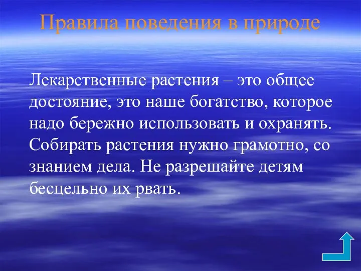 Правила поведения в природе Лекарственные растения – это общее достояние,