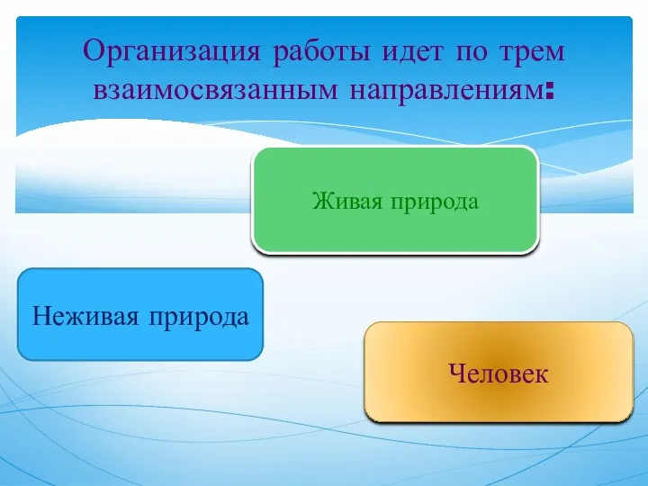 Организация работы идет по трем взаимосвязанным направлениям: Живая природа Неживая природа Человек