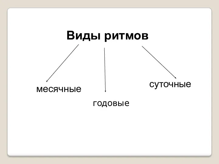 Виды ритмов месячные суточные Г годовые огггчные