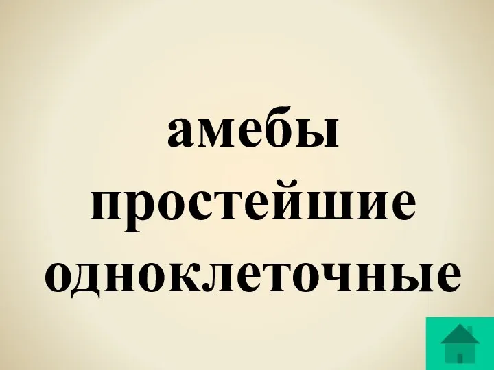 амебы простейшие одноклеточные