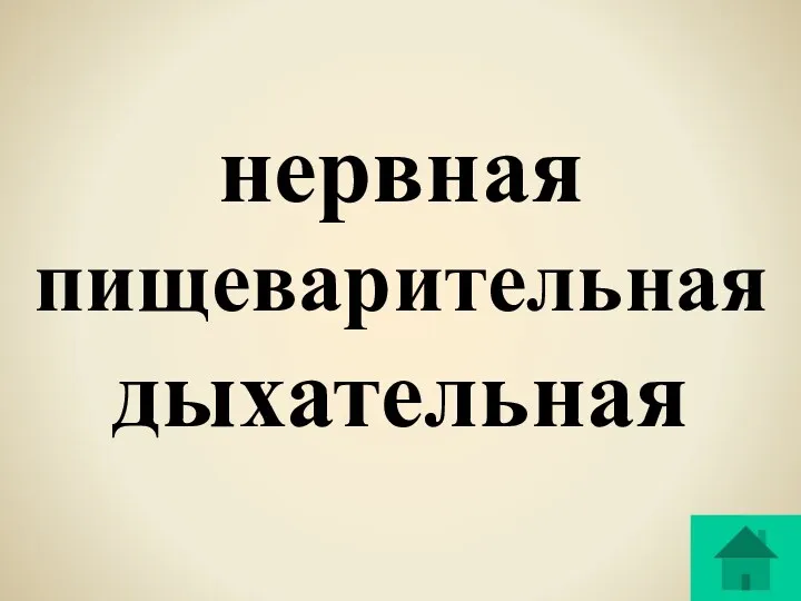 нервная пищеварительная дыхательная