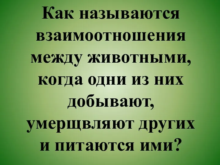 Как называются взаимоотношения между животными, когда одни из них добывают, умерщвляют других и питаются ими?