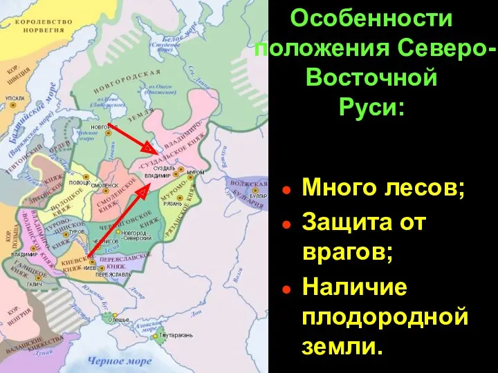 Особенности положения Северо- Восточной Руси: Много лесов; Защита от врагов; Наличие плодородной земли.