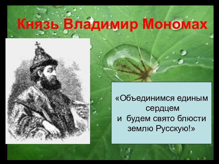 Князь Владимир Мономах «Объединимся единым сердцем и будем свято блюсти землю Русскую!»