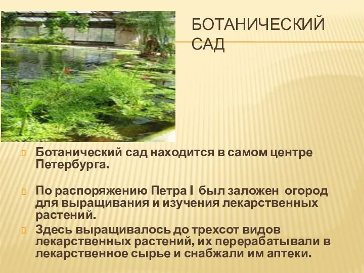 БОТАНИЧЕСКИЙ САД Ботанический сад находится в самом центре Петербурга. По распоряжению Петра I