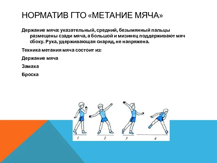 Норматив ГТО «метание мяча» Держание мяча: указательный, средний, безымянный пальцы размещены сзади мяча,