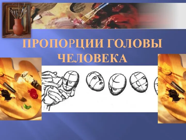 Пропорции головы человека