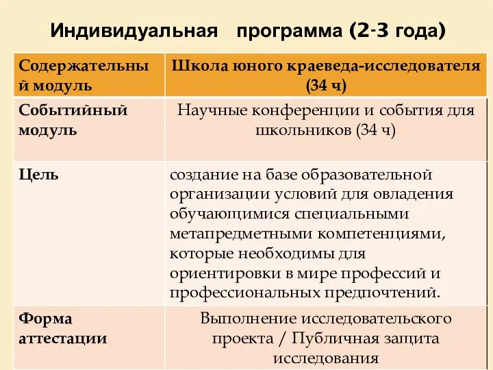 Индивидуальная программа (2-3 года)