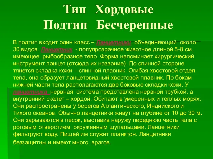 Тип Хордовые Подтип Бесчерепные В подтип входит один класс –