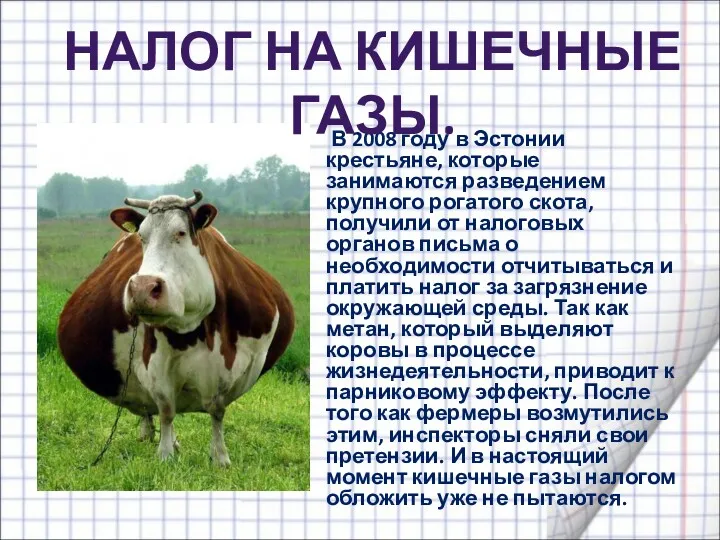 В 2008 году в Эстонии крестьяне, которые занимаются разведением крупного рогатого скота, получили