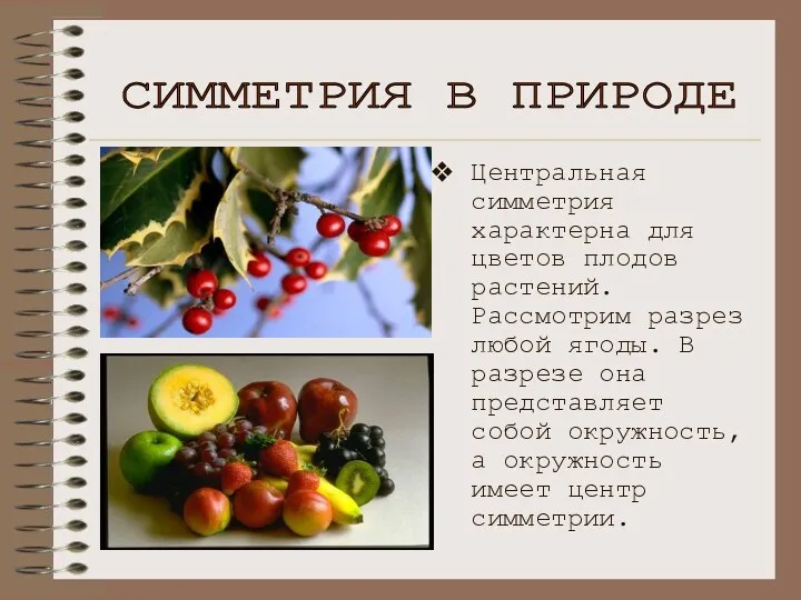 Центральная симметрия характерна для цветов плодов растений. Рассмотрим разрез любой ягоды. В разрезе