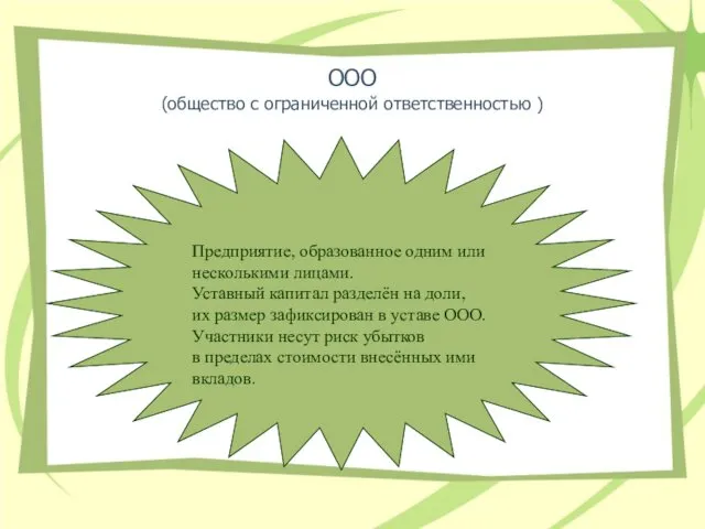 ООО (общество с ограниченной ответственностью ) Предприятие, образованное одним или