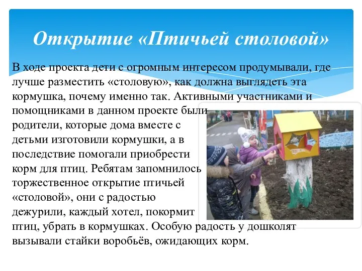 Открытие «Птичьей столовой» В ходе проекта дети с огромным интересом продумывали, где лучше