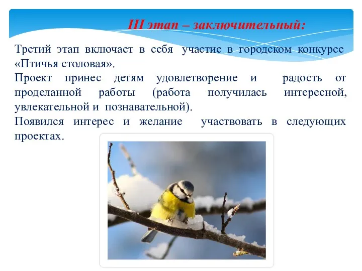 Третий этап включает в себя участие в городском конкурсе «Птичья столовая». Проект принес