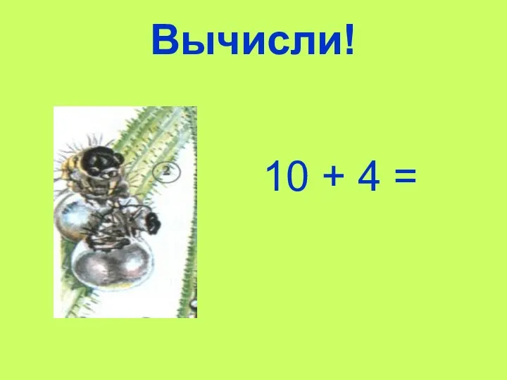 Вычисли! 10 + 4 =