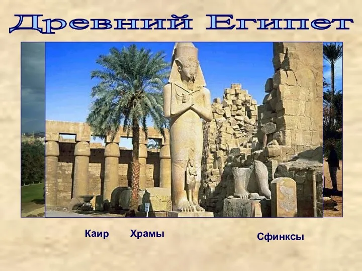 Древний Египет Каир Храмы Сфинксы
