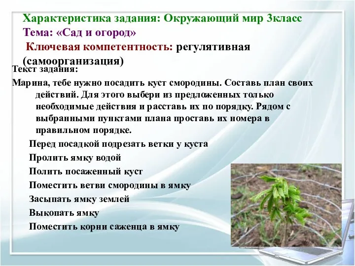 Характеристика задания: Окружающий мир 3класс Тема: «Сад и огород» Ключевая