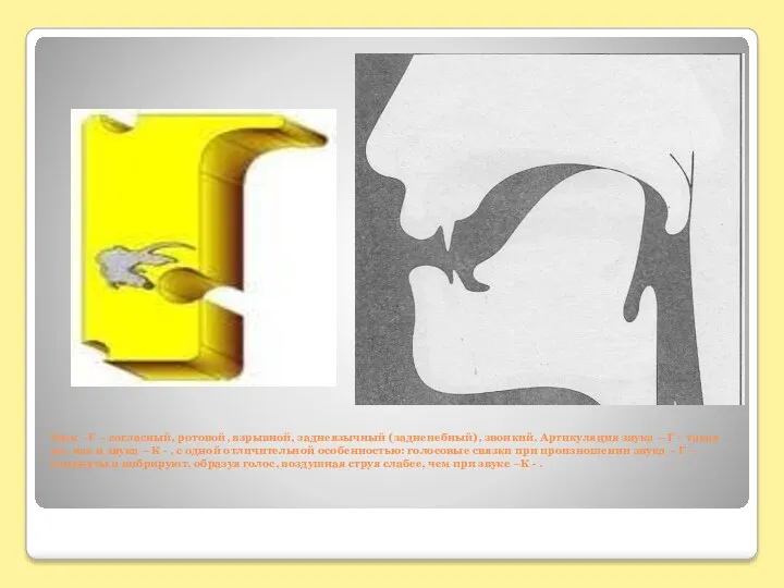 Звук –Г – согласный, ротовой, взрывной, заднеязычный (задненебный), звонкий. Артикуляция