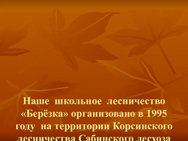 Наше школьное лесничество «Берёзка» организовано в 1995 году на территории Корсинского лесничества Сабинского лесхоза