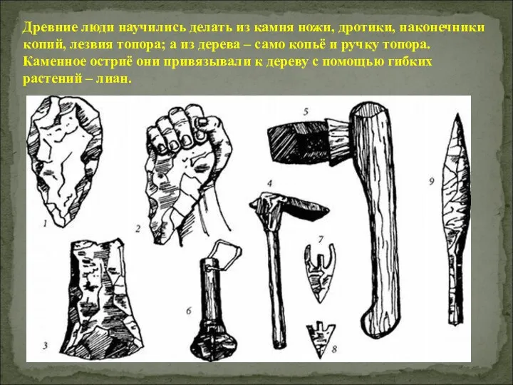 Древние люди научились делать из камня ножи, дротики, наконечники копий, лезвия топора; а
