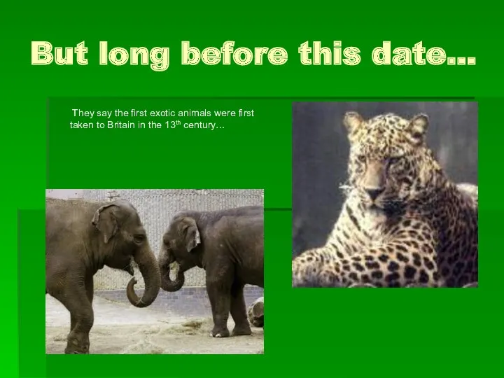 But long before this date… They say the first exotic animals were first