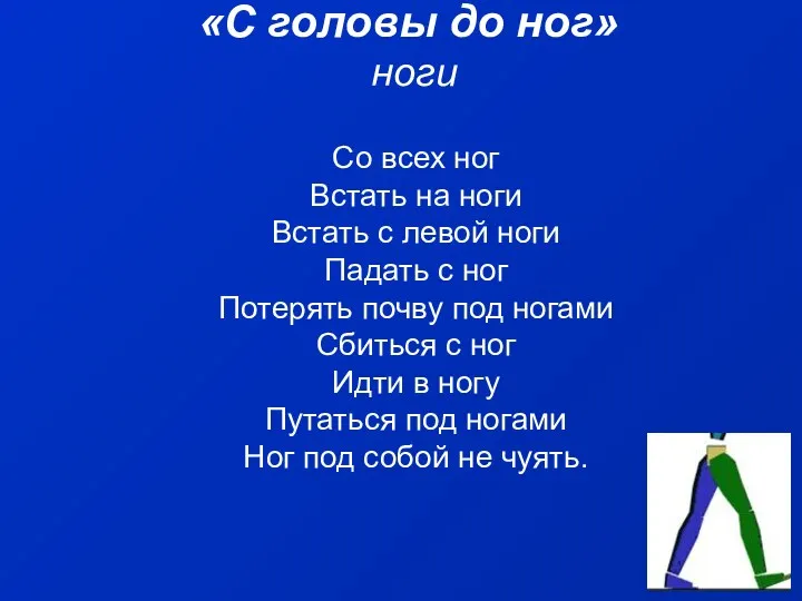 «С головы до ног» ноги Со всех ног Встать на