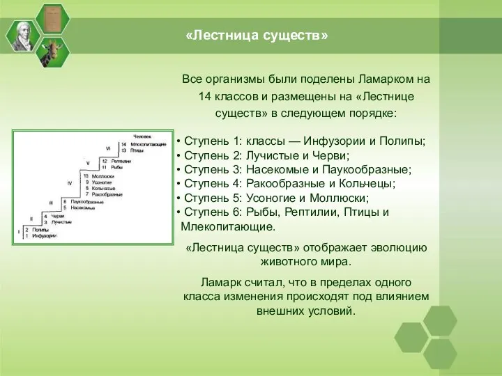 «Лестница существ» Все организмы были поделены Ламарком на 14 классов