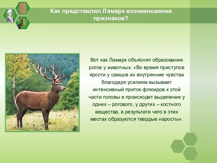 Как представлял Ламарк возникновение признаков? Вот как Ламарк объяснял образование