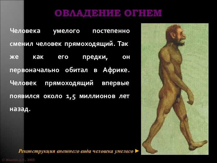 © Жадаев Д.Н., 2005 ОВЛАДЕНИЕ ОГНЕМ Человека умелого постепенно сменил