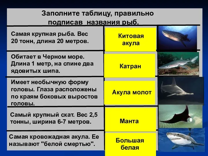 Заполните таблицу, правильно подписав названия рыб. Самая крупная рыба. Вес