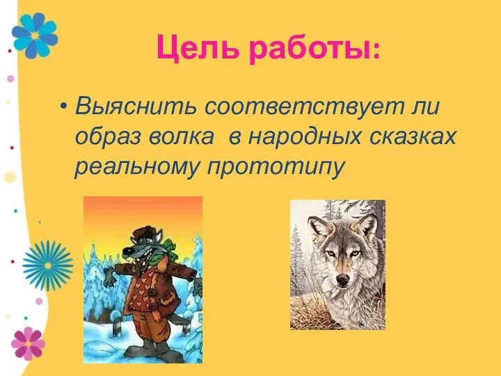 Цель работы: Выяснить соответствует ли образ волка в народных сказках реальному прототипу