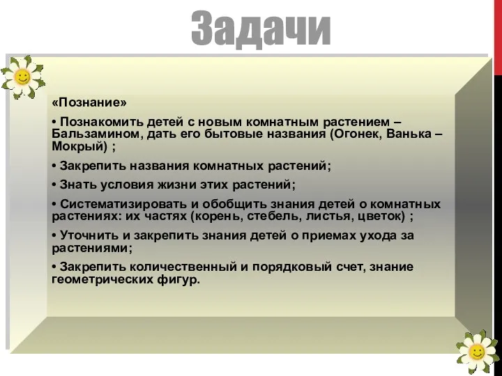 Задачи «Познание» • Познакомить детей с новым комнатным растением – Бальзамином, дать его