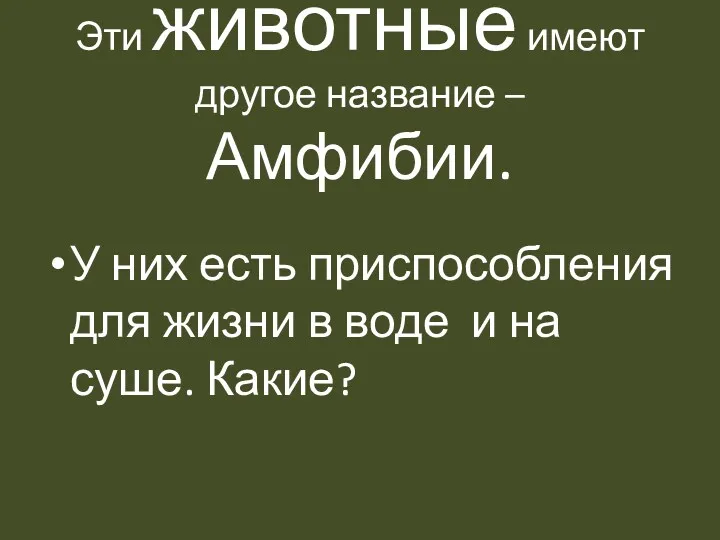 Эти животные имеют другое название – Амфибии. У них есть