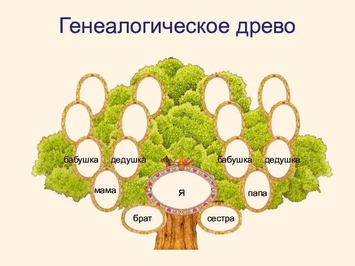 Генеалогическое древо Я брат сестра мама папа бабушка дедушка бабушка дедушка